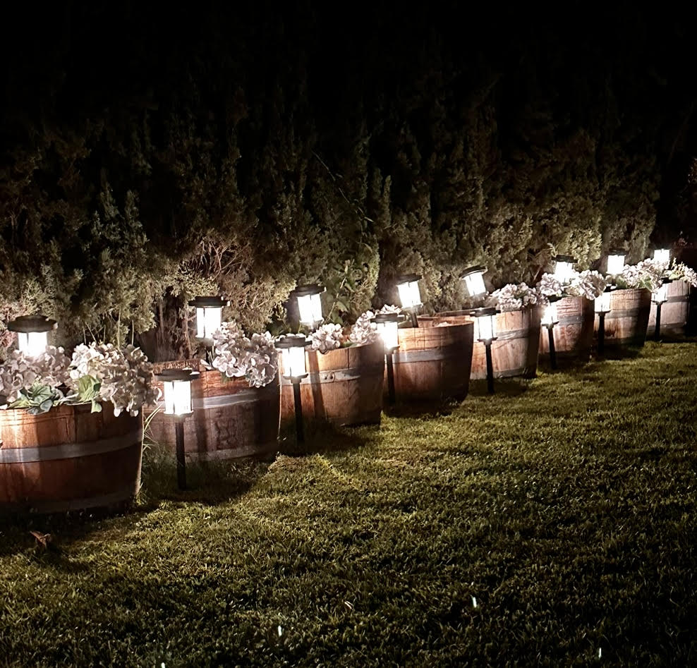 Outdoor lighting, landscape lighting, backyard lighting, wine barrels in backyard